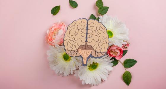 Saúde Mental e Educação
